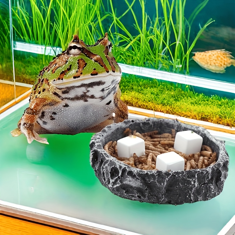 6Pcs For Reptile Grinding Tort – обзор и цена Calcium Powder Reptile