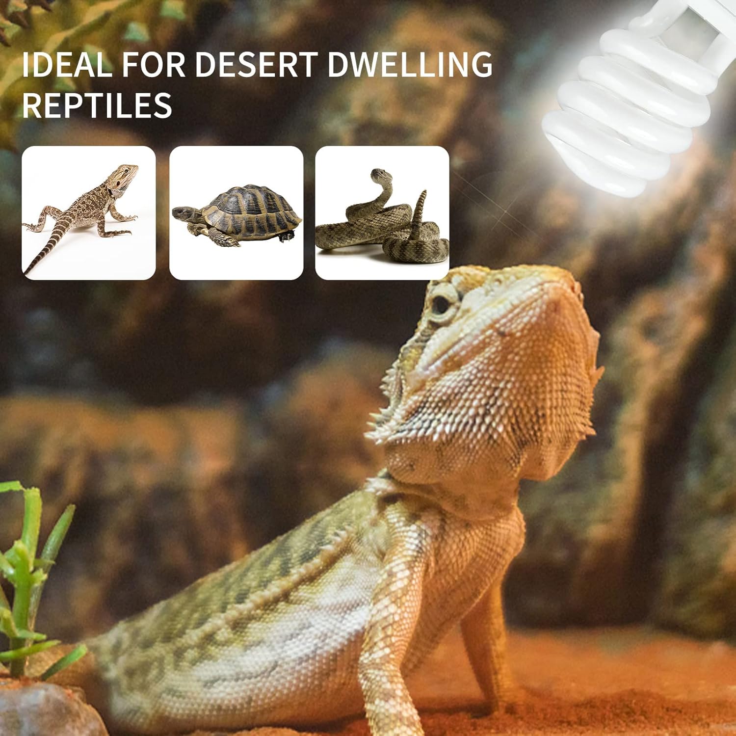 UVB 5.0 10.0 Reptile Heating L – обзор и цена Calcium Powder Reptile