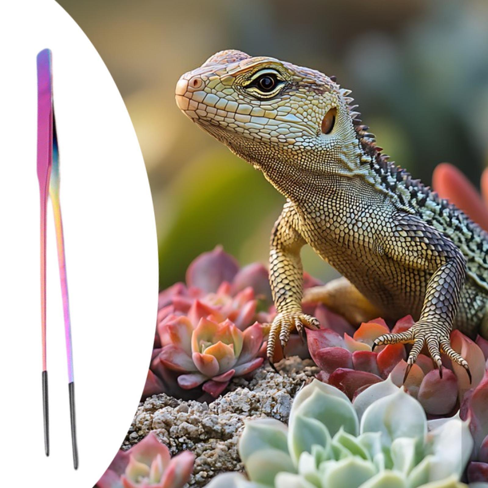 Terrarium Reptile Feeder Tongs – обзор и цена Feeding Tong Stainless
