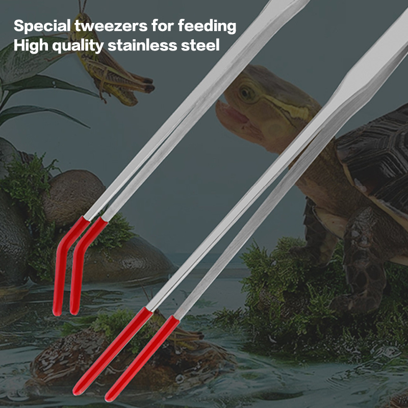 Stainless Steel Reptile With R – обзор и цена Feeding Tong Stainless