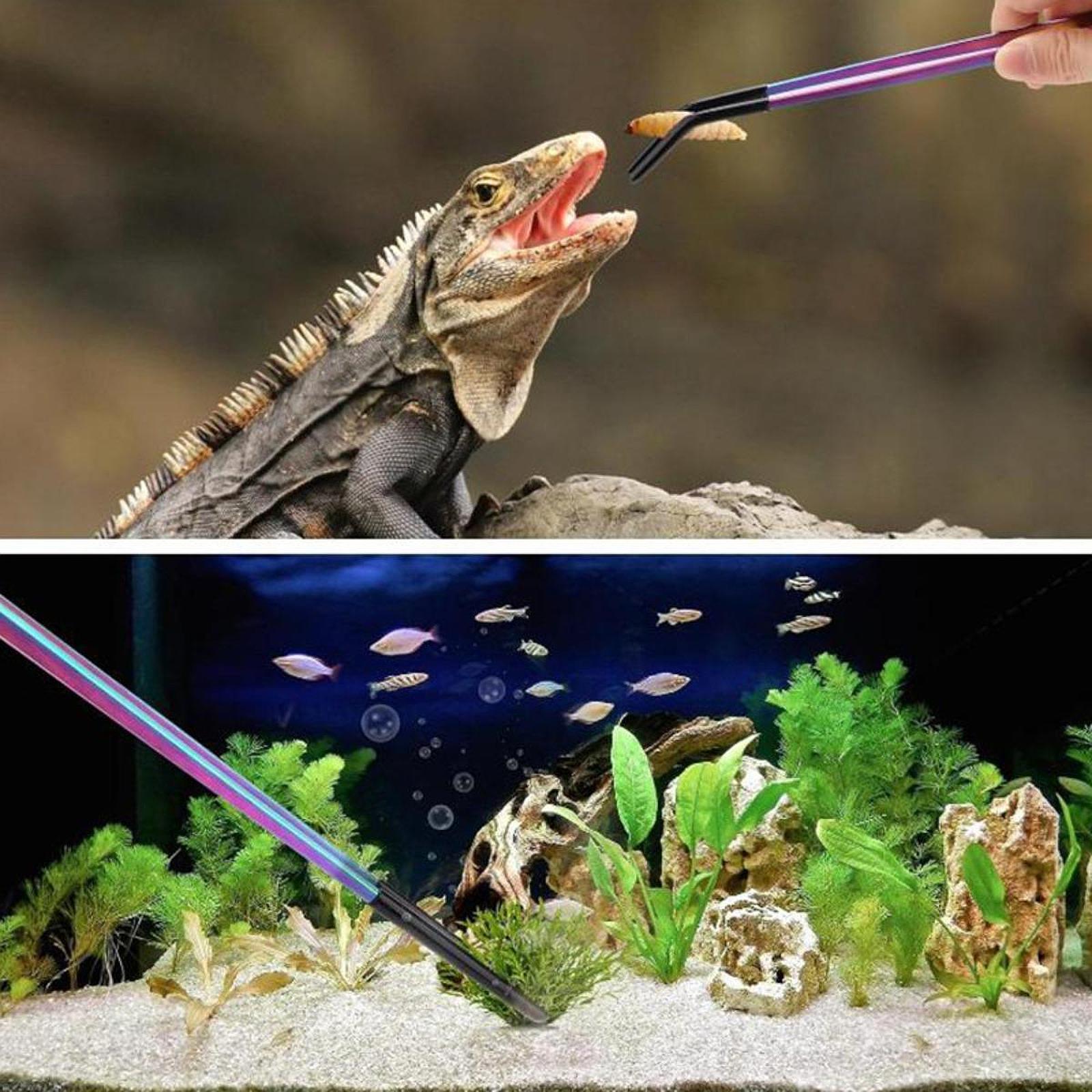 Aquarium Tweezers Reptile Feed – обзор и цена Feeding Tong Stainless
