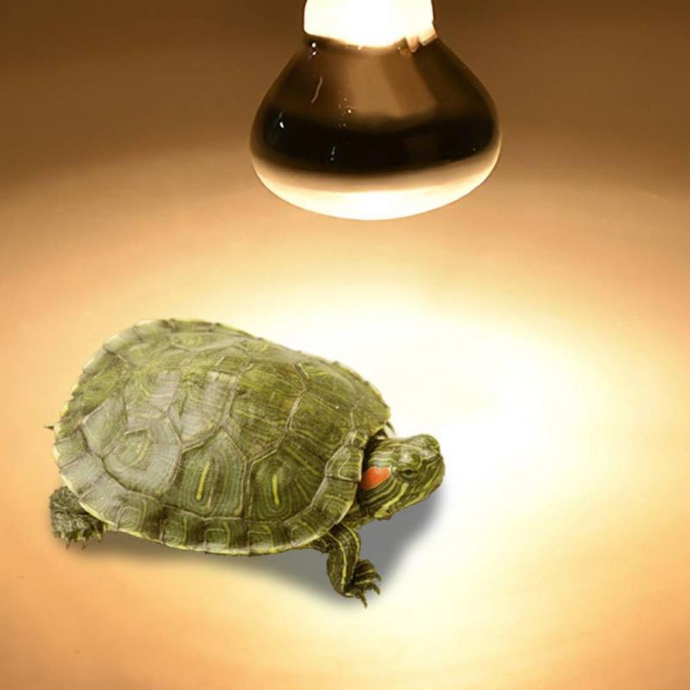 Turtle Temperature Controller  – обзор и цена Basking Bulb Halogen