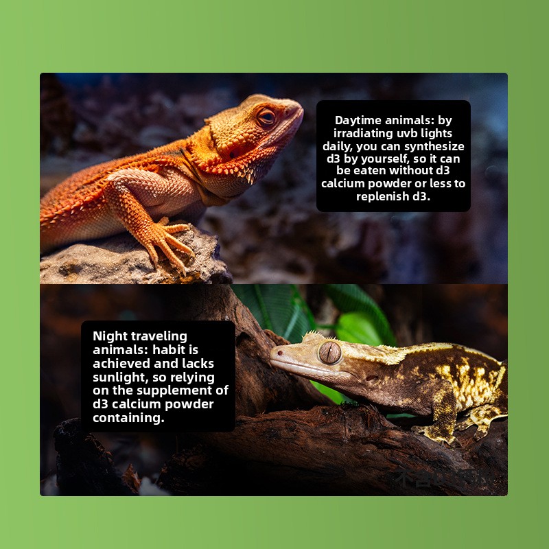 Reptizoo Reptile Calcium Powde – обзор и цена Calcium Powder Reptile