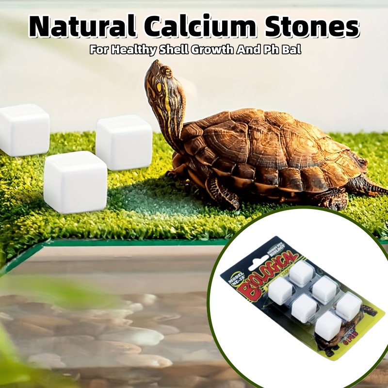 6 Pcs Fish Tank Calcium Block  – обзор и цена Calcium Powder Reptile