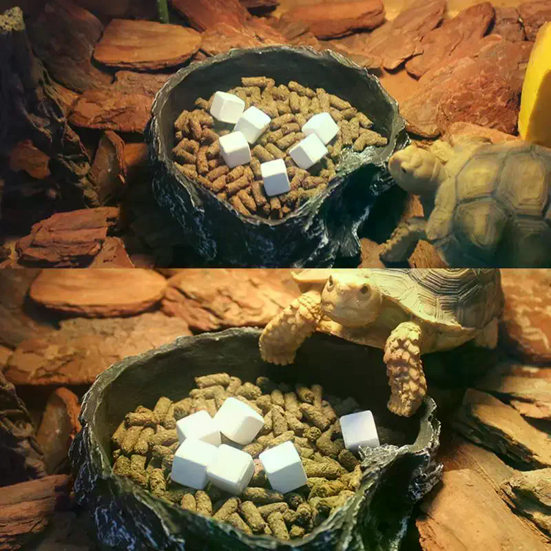Slow Release Calcium Mineral B – обзор и цена Calcium Powder Reptile