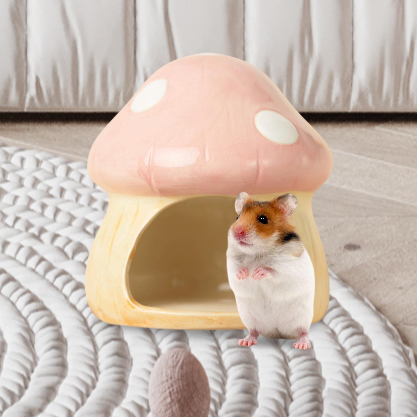 Ceramic Mushroom Hamster Hideo – обзор и цена Hide Cave Ceramic