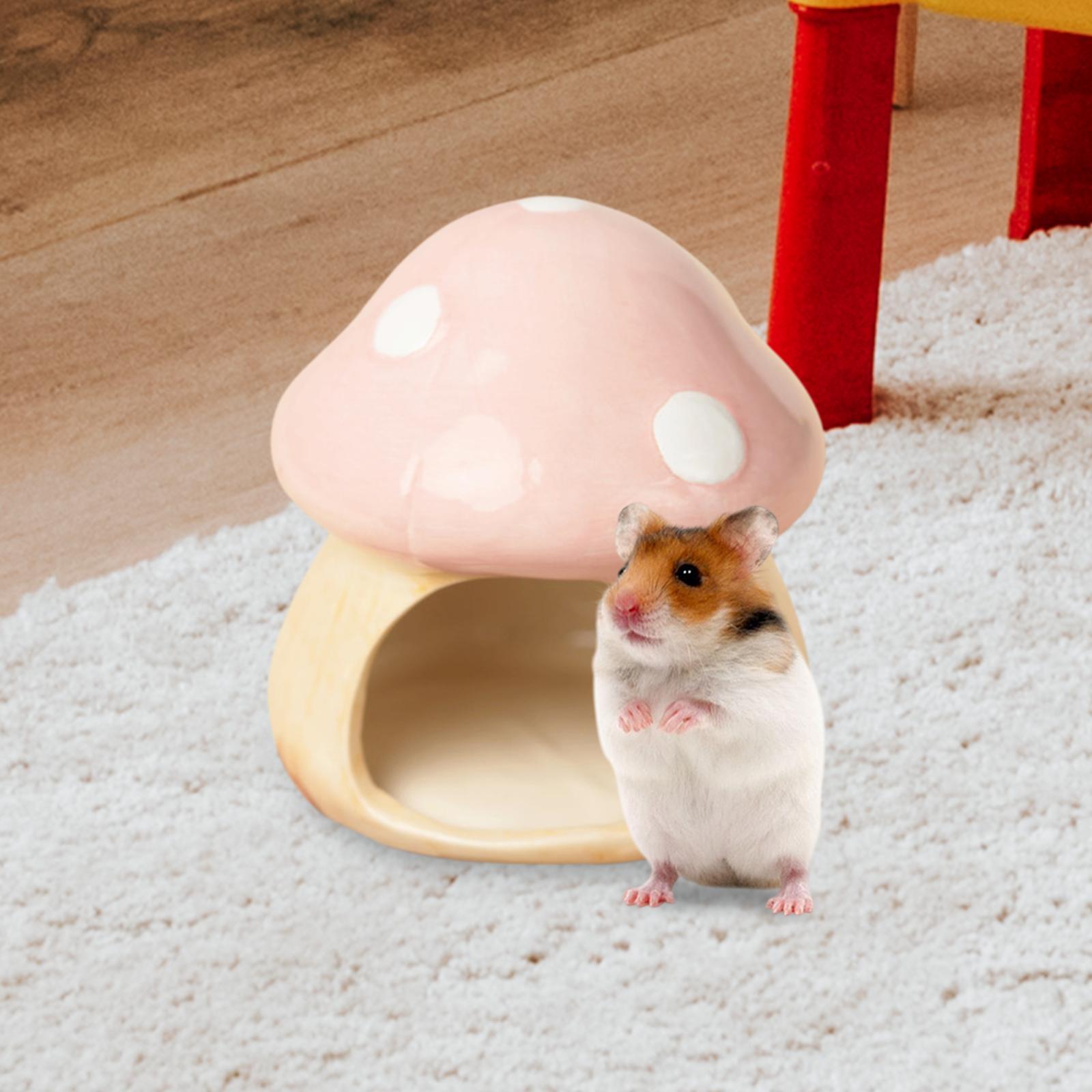 Ceramic Mushroom Hamster Hideo – обзор и цена Hide Cave Ceramic